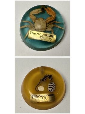 VINTAGE 1955 STEINHART AQUARIUM SF RESIN KEYCHAIN FOBS – CRAB & SEAHORSE